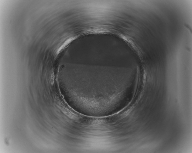 X0000100971306200807011411