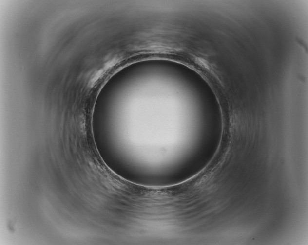 X0000100971307200807011411