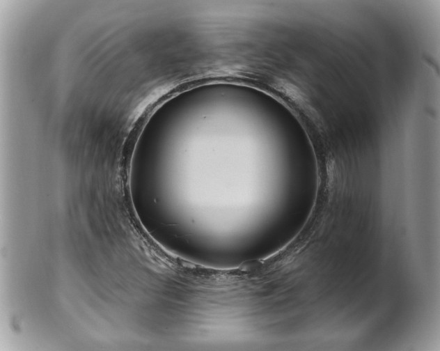 X0000100971308200807011411