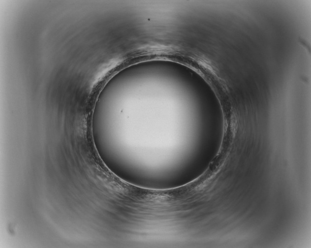 X0000100971309200807011411