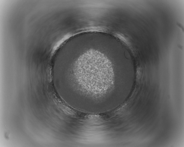 X0000100971310200807011411