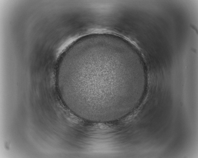 X0000100971311200807011412