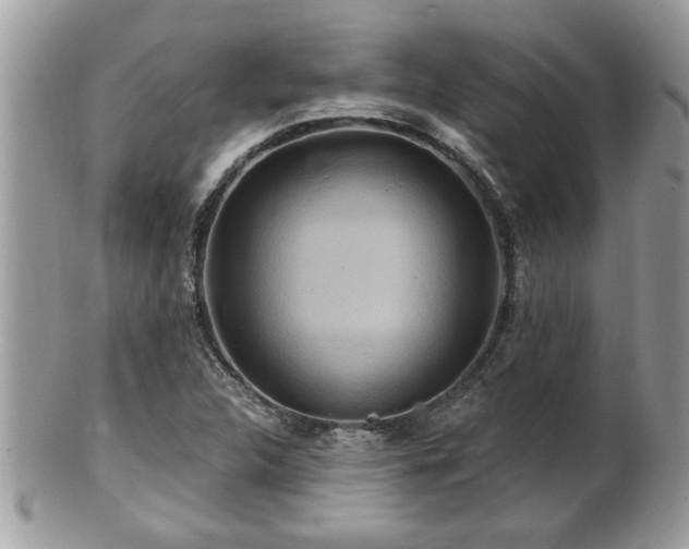 X0000100971312200807011412