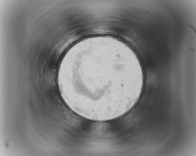 X0000100971314200807011412