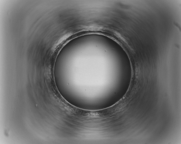 X0000100971315200807011412