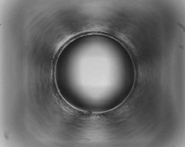 X0000100971316200807011412