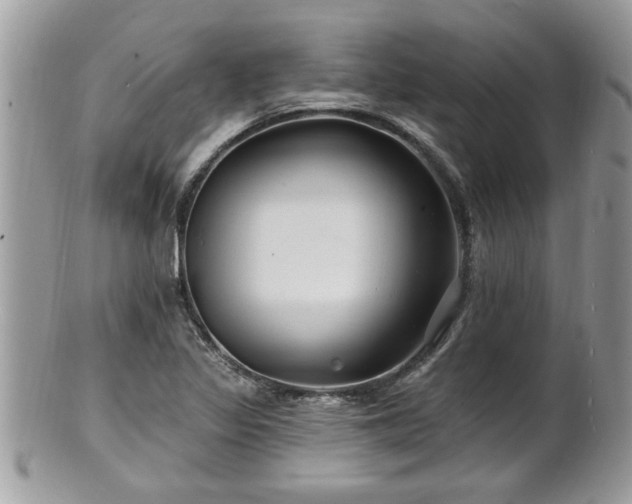 X0000100971317200807011412