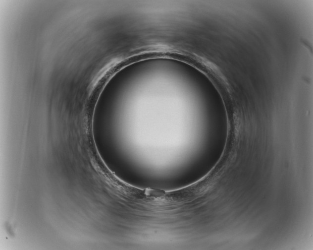X0000100971318200807011412