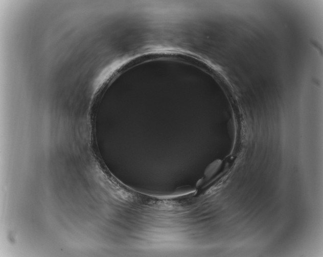 X0000100971319200807011412