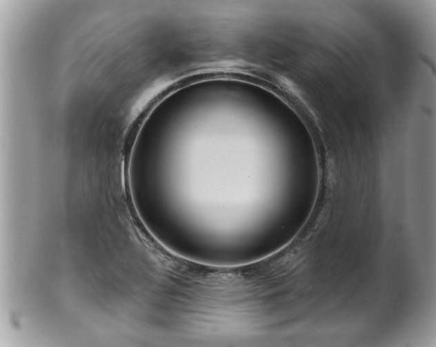 X0000100971320200807011412