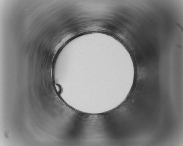 X0000100971322200807011412