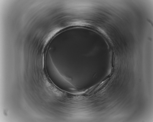X0000100971323200807011412