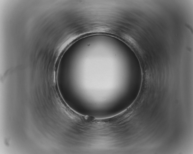 X0000100971324200807011412