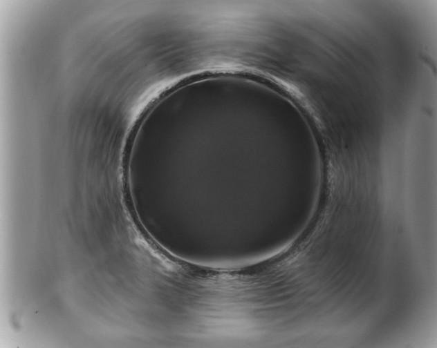 X0000100971327200807011412