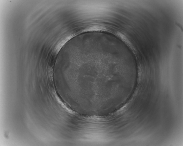X0000100971329200807011412