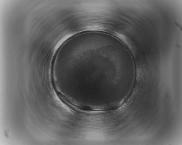 X0000100971331200807011412