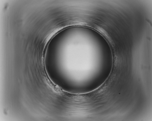 X0000100971332200807011412