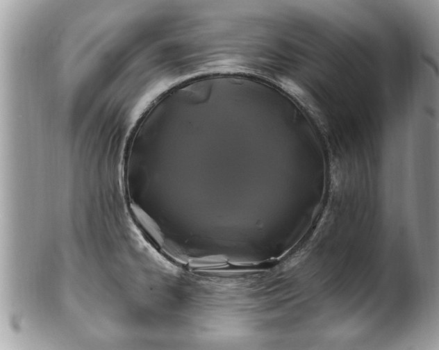 X0000100971334200807011412