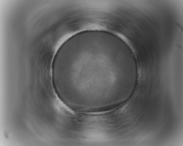 X0000100971335200807011412