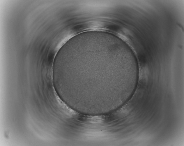 X0000100971338200807011412