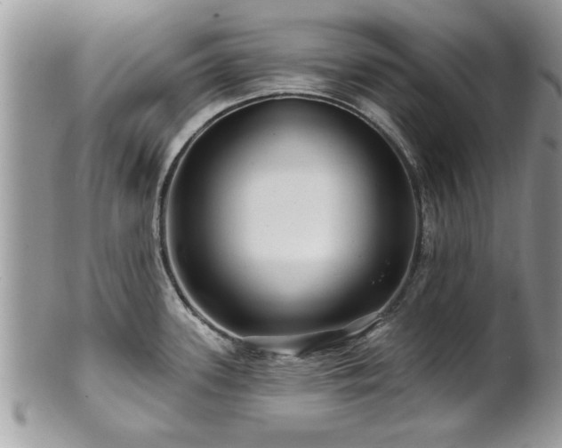 X0000100971339200807011412