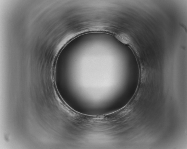 X0000100971342200807011412