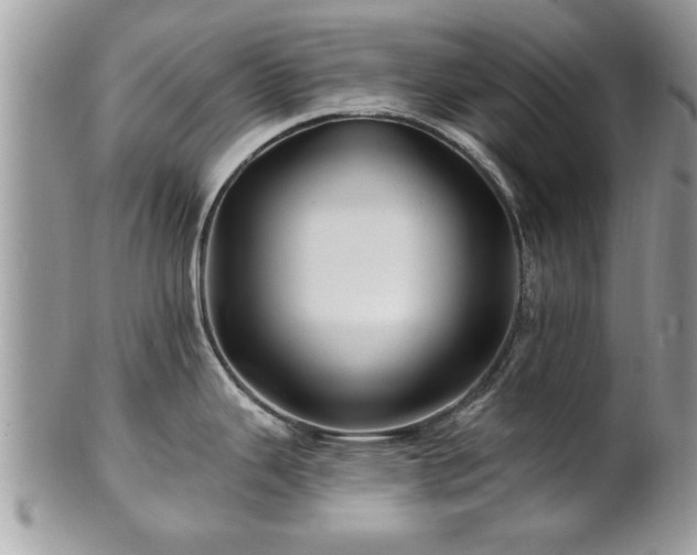 X0000100971343200807011412