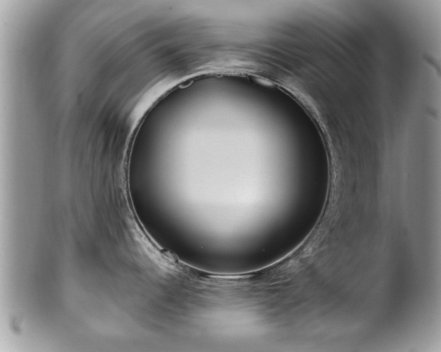 X0000100971344200807011412