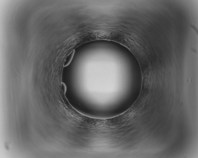 X0000100971345200807011411