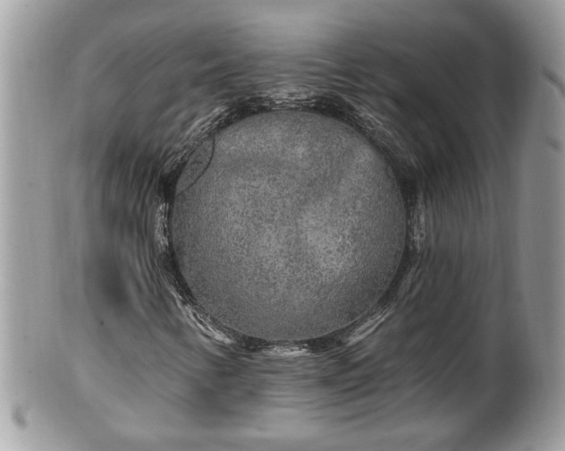 X0000100971346200807011411