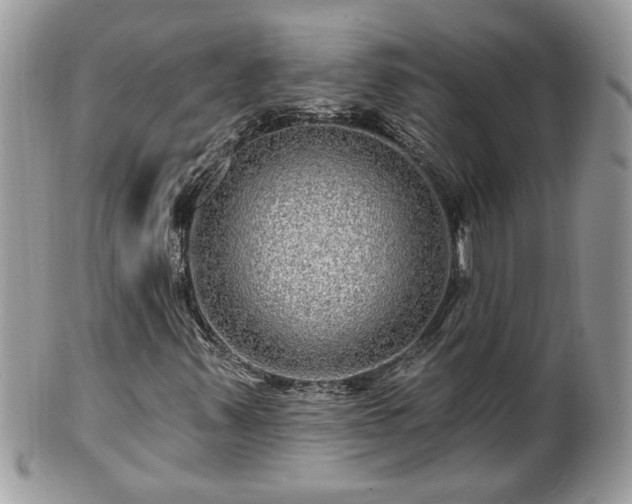 X0000100971347200807011411