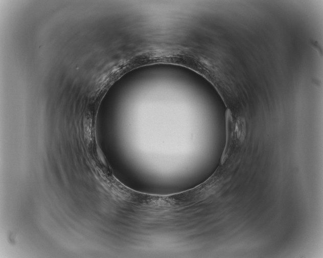 X0000100971348200807011411