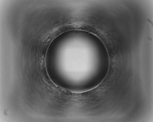 X0000100971349200807011411