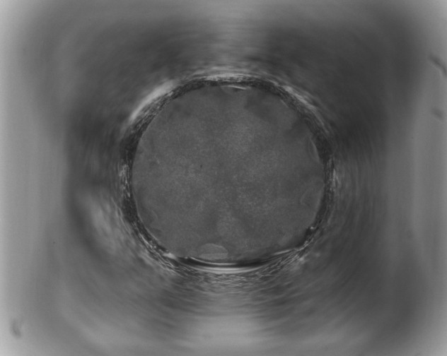 X0000100971351200807011411