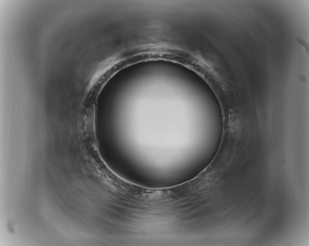 X0000100971352200807011411