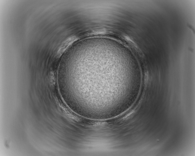 X0000100971353200807011411