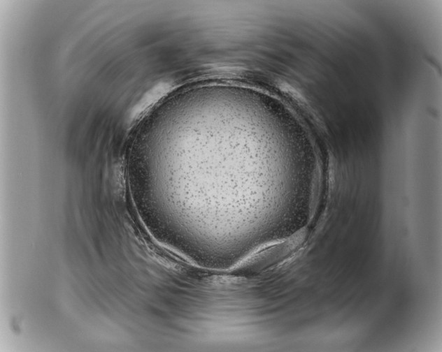 X0000100971354200807011411