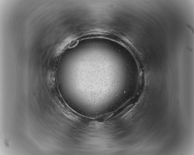 X0000100971355200807011411