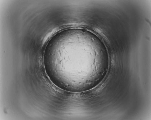X0000100971357200807011411