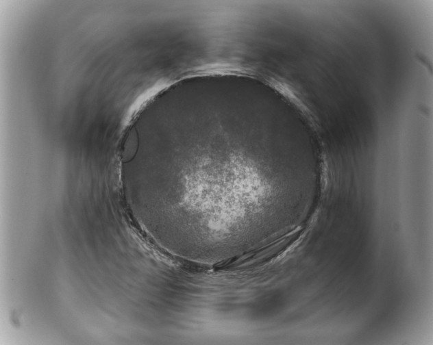 X0000100971358200807011411