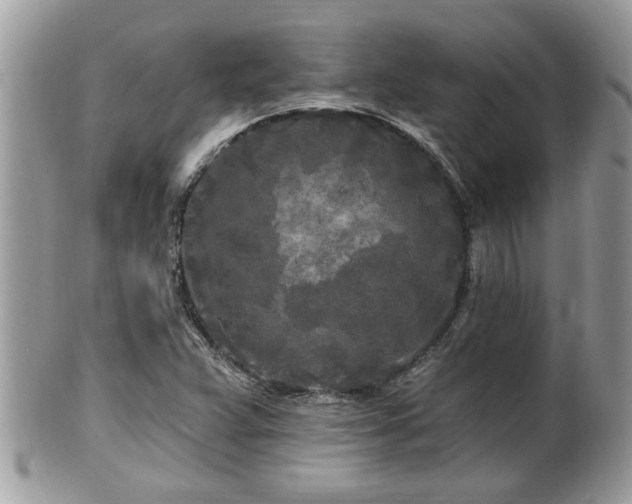 X0000100971359200807011411