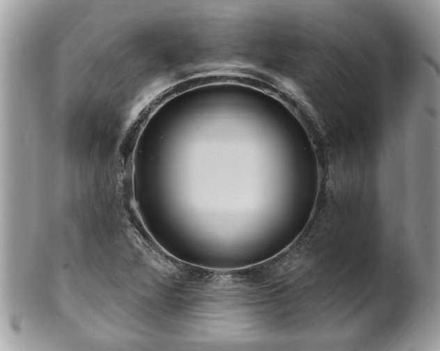 X0000100971360200807011411
