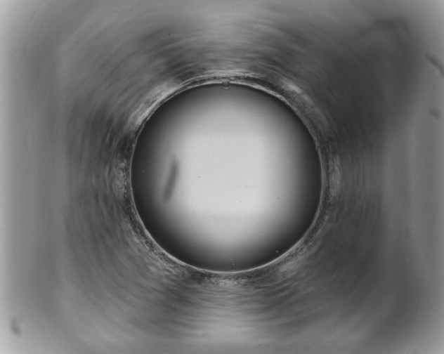 X0000100971361200807011411