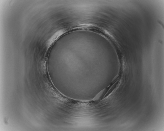 X0000100971362200807011411
