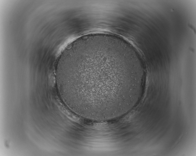 X0000100971363200807011411