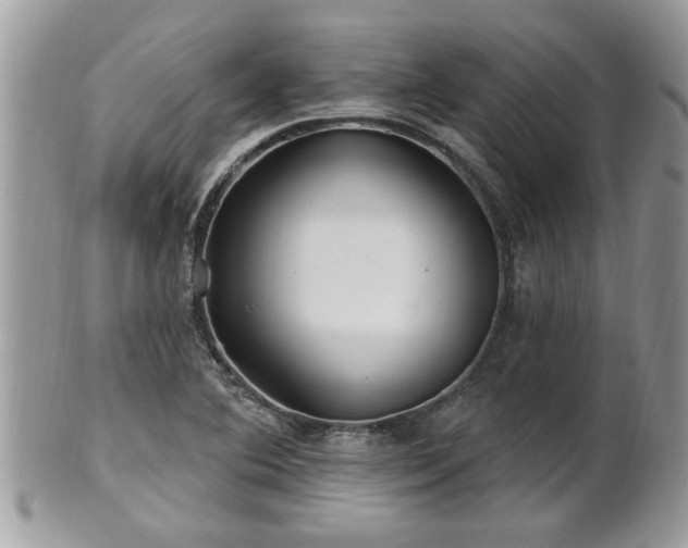 X0000100971364200807011411