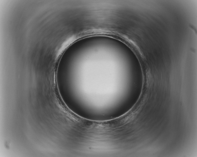 X0000100971365200807011411
