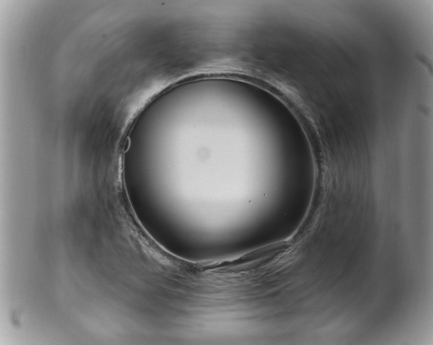 X0000100971366200807011411