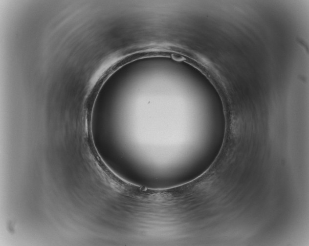 X0000100971368200807011411