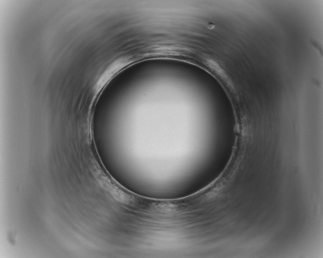 X0000100971370200807011411